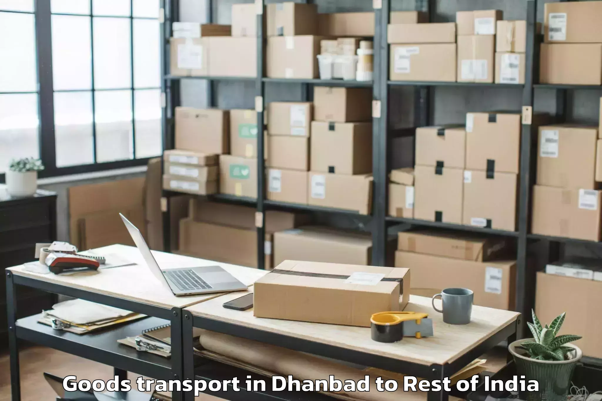 Book Dhanbad to Sher E Kashmir University Of A Goods Transport Online